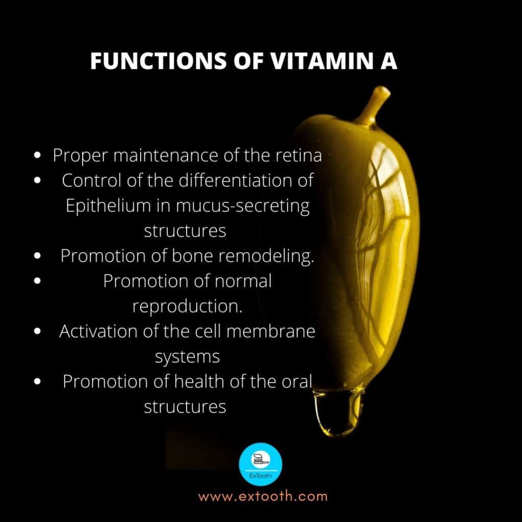 functions of vit A