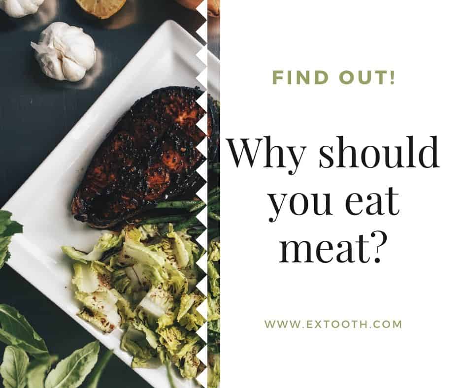 why should you eat meat?- nutrition for older adults