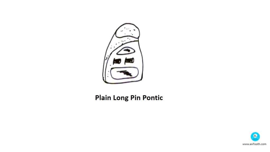 Plain Long Pin Pontic