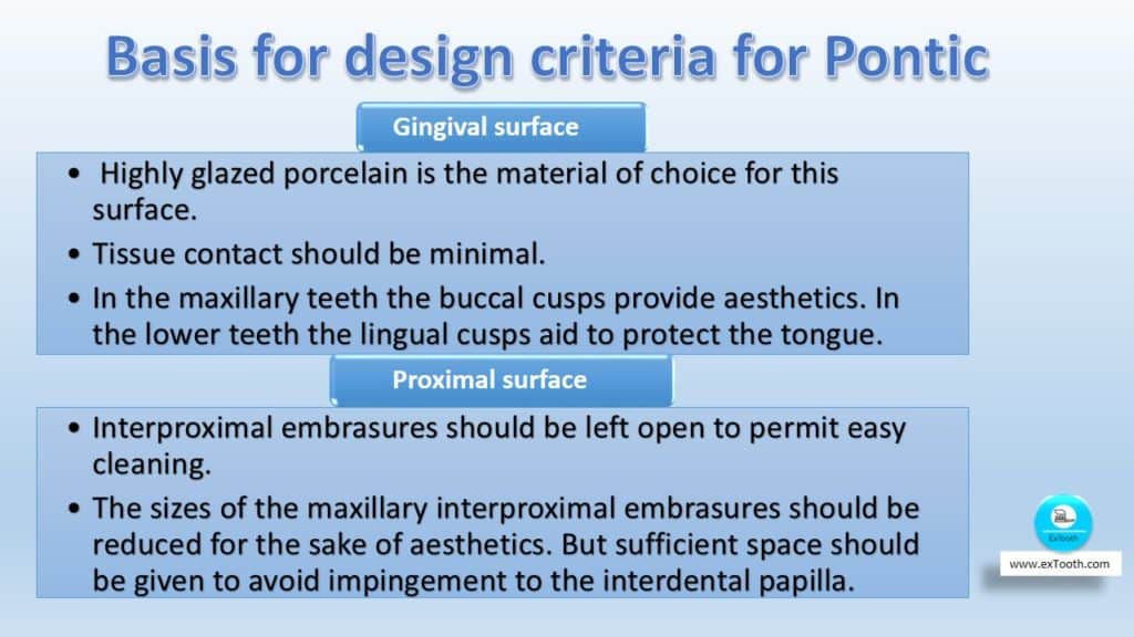Basis for design criteria for pontic
