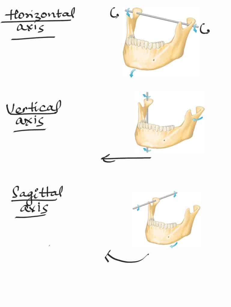 axis of mandibular movement