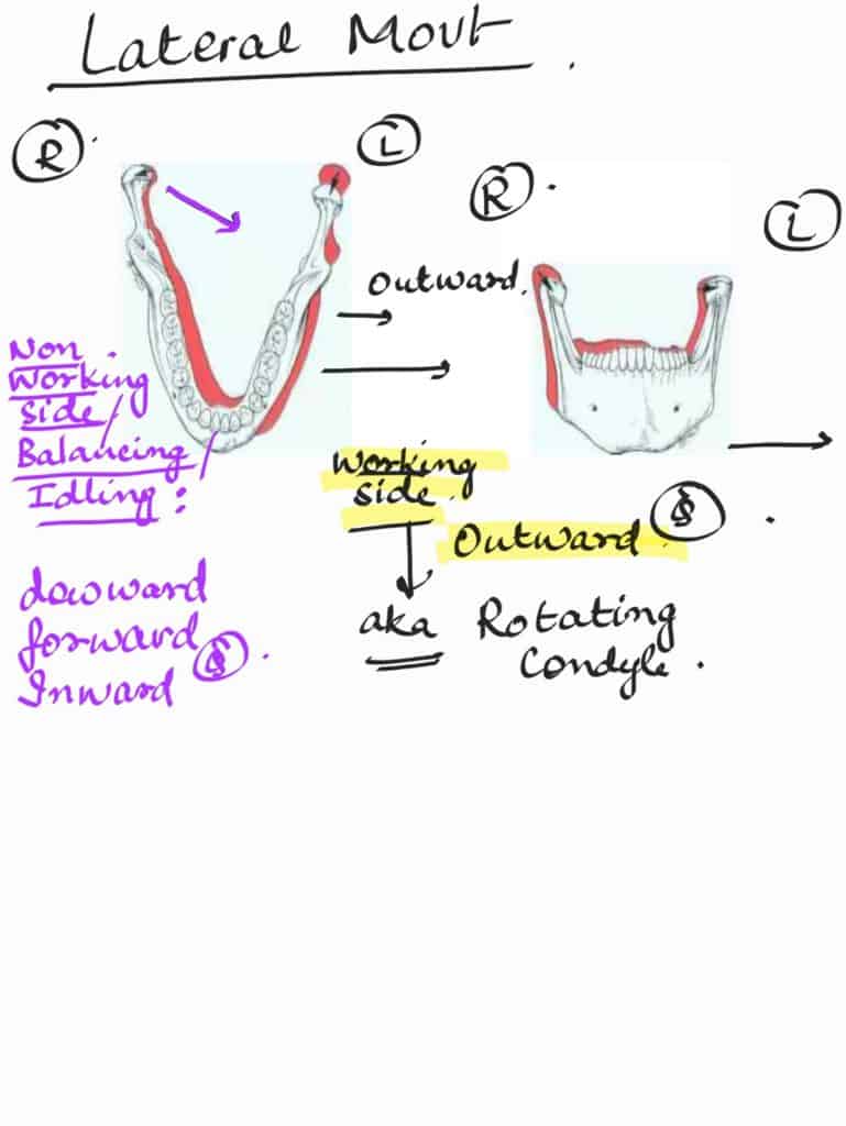 lateral mandibular movement