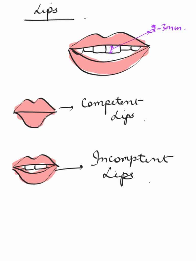 lips types