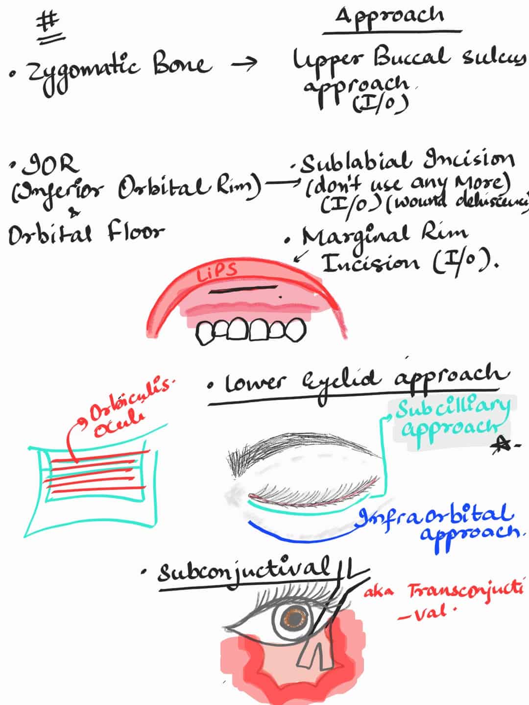 oral and maxillofacial surgery revision - extooth